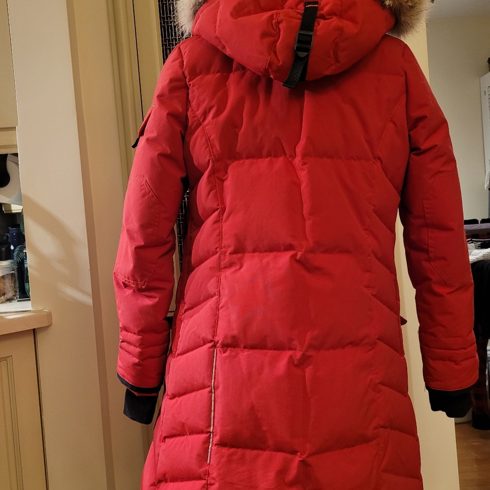 Jacket - Picture 5 of 13